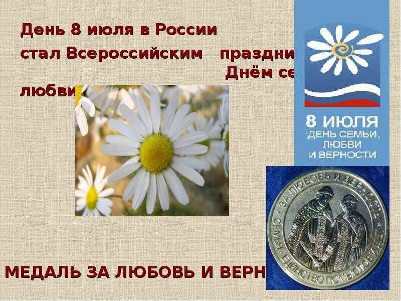 Какой цветок является символом всероссийского дня семьи. День любви в россии 8 июля. символ праздника день семьи. с днем семьи и верности. день семьи любви и верности кратко.