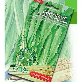 Спаржевый салат выращивание