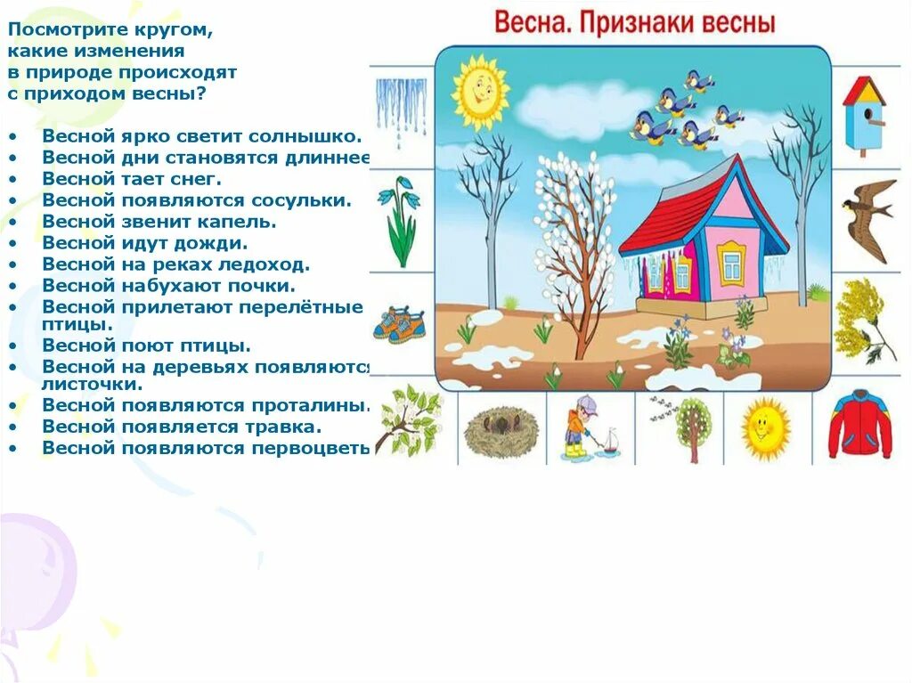 Какие изменения происходят в природе летом. Прогулка по весеннему лесу вторая младшая группа. какие изменения происходят весной в природе. что появляется весной. почему весной день становится длиннее детям.
