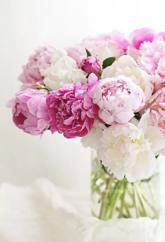 Épinglé par Cristina Brito sur pink & Gold Bouquet pivoine, Pivoine, Pivoines ro