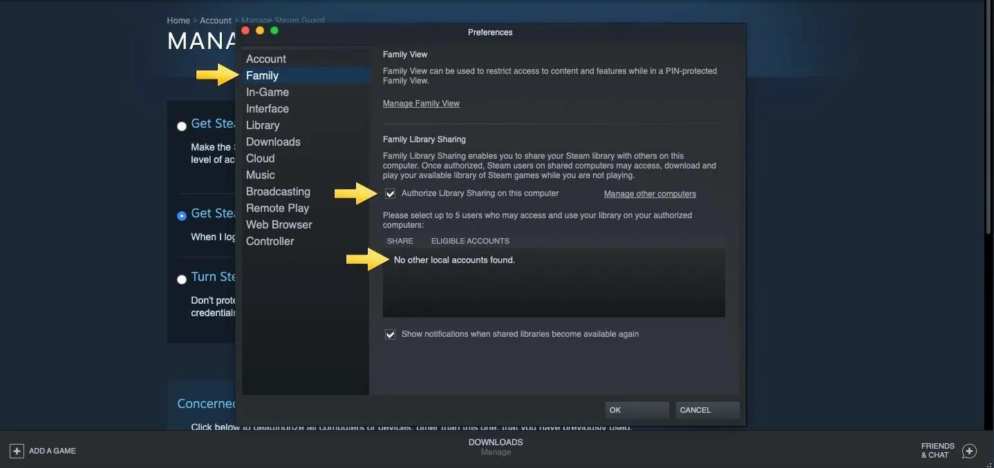 Как добавить в family library sharing. Поделиться библиотекой Steam. Семейный доступ стим. Anyway игра стим. Shared Library Steam.