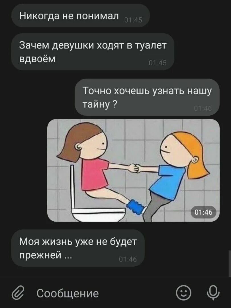 Почему девочки ходят в туалет. Девушки ходят в туалет вдвоем. почему девушки ходят в туалет вдвоем. зачем девочки ходят вдвоем в туалет. зачем девушки ходят в туалет.