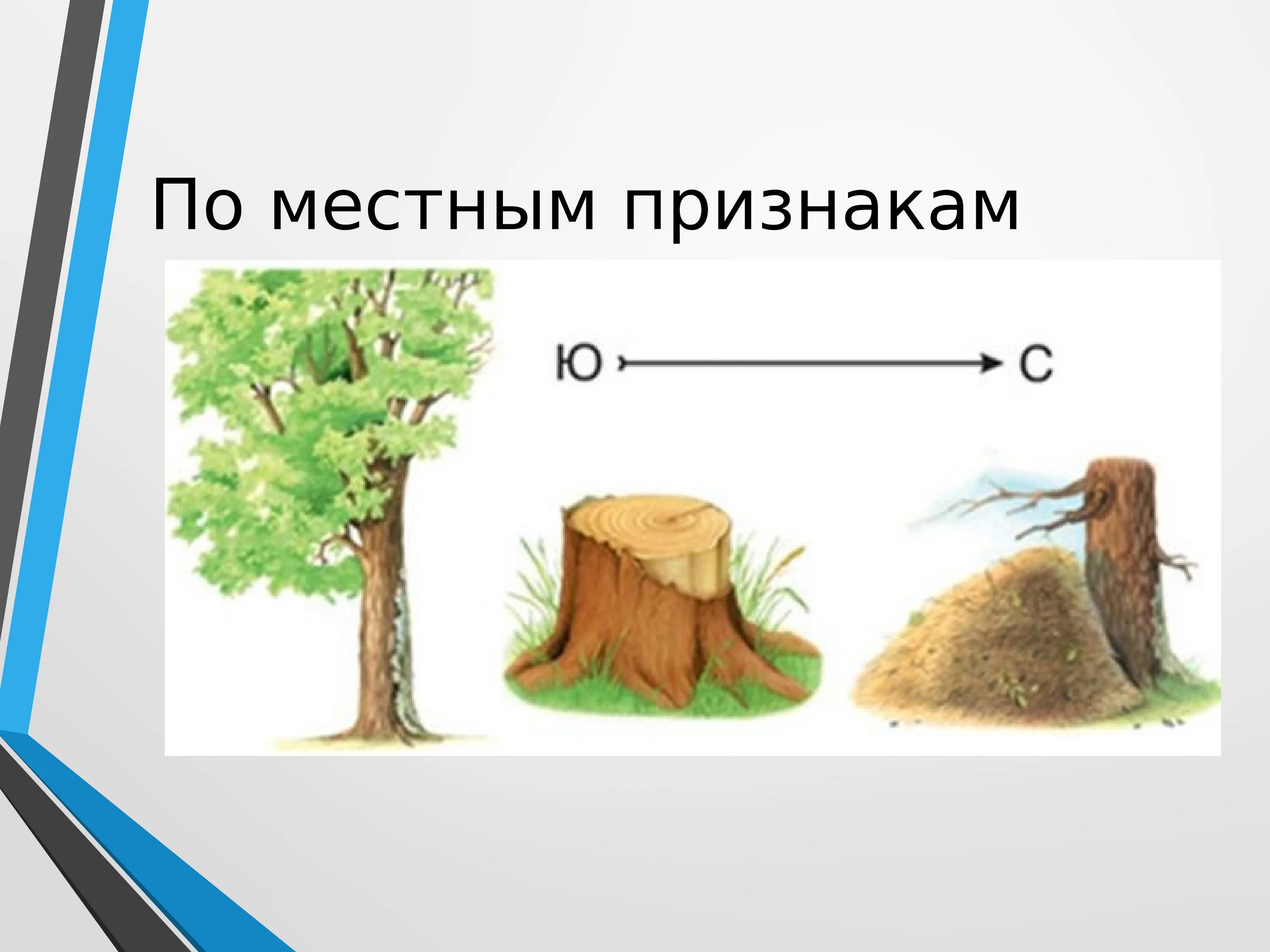 Природные признаки сторон света. Ориентирование по местным признакам. Способы ориентирования по местным признакам. Ориентирование потместным природным признакам. Ориентирование на местности по природным признакам.