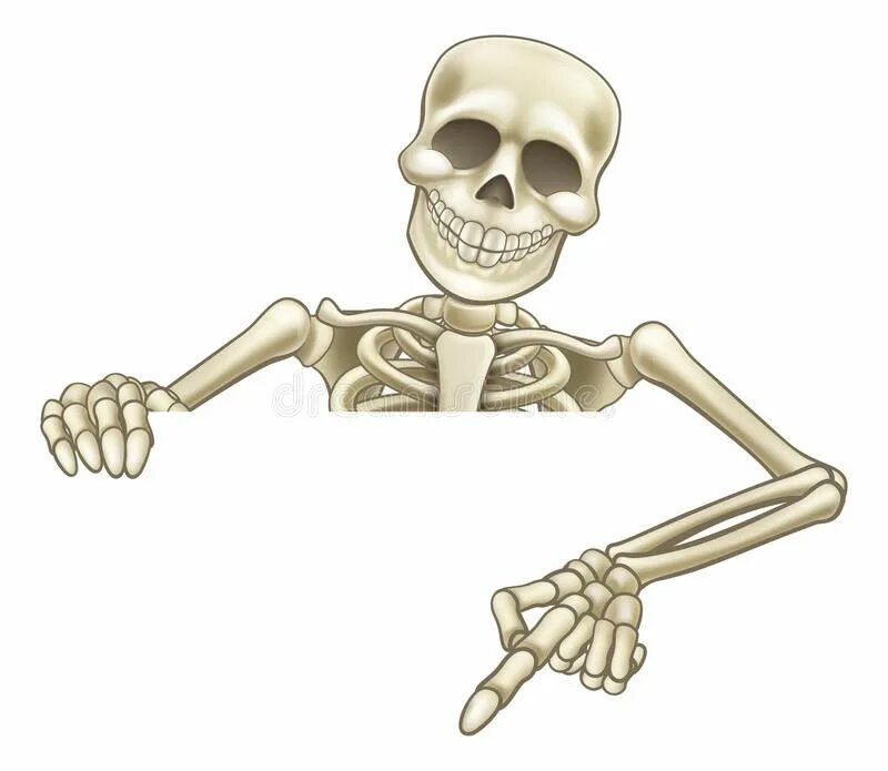 Skeleton like