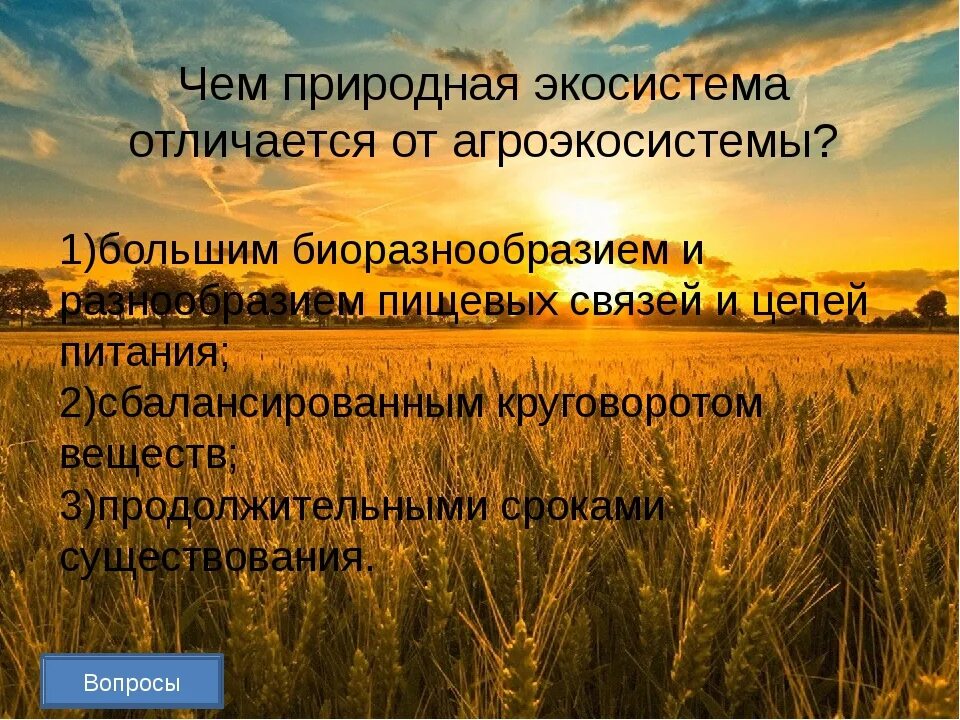 Агроэкосистема и экосистема. Отличие экосистемы от агроэкосистемы. Отличие агроэкосистем от природных экосистем. Отличие агроэкосистемы от естественных экосистем. Чем отличаются природные экосистемы