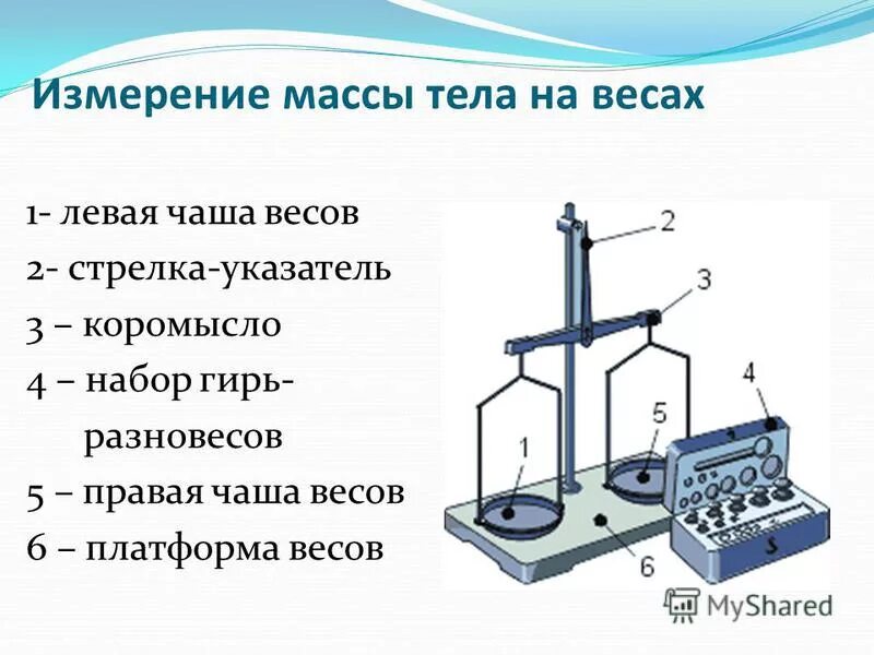 Масса тела книги. Измерение массы тела на весах. Весы для измерения массы. Масса тела единицы массы измерение массы тела на весах. Измерительный прибор массы тела.