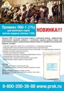 Составов в 60