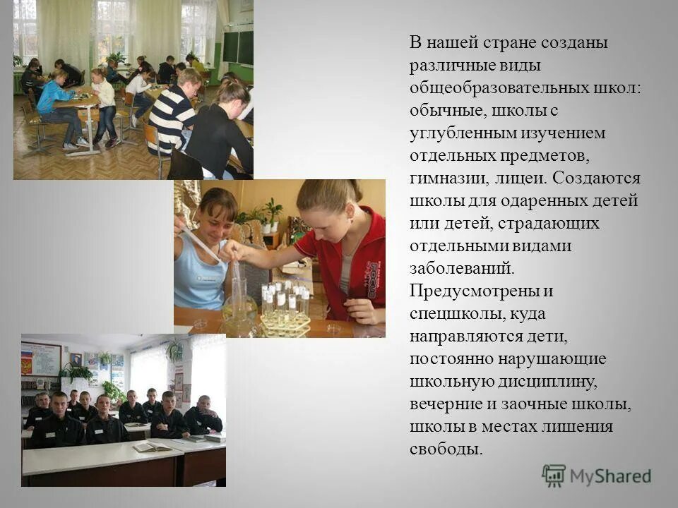 Лицей уровень образования. Типы школьного образования. Отличие гимназии от школы. Чем отличается лицо от школы. Чем отличается школа от лицея и гимназии.