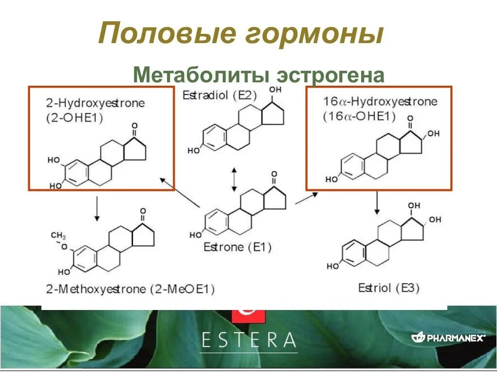 Эстрадиол это эстроген. Половые гормоны. Метаболиты гормонов. Метаболизм эстрадиола. Синтез эстрадиола биохимия.