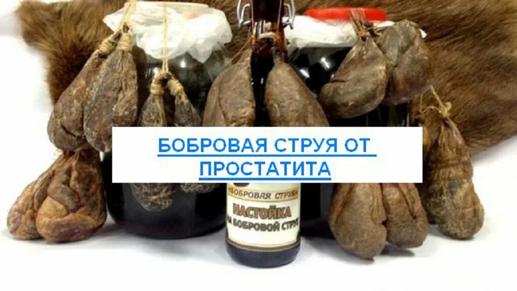 Как пить струю бобра. Бобровая струя простатит. бобровая струя от простатита. бобровая струя при простатите. струя бобра от простатита.
