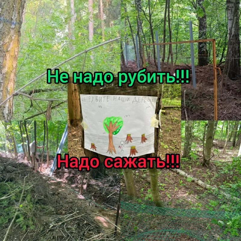 надо рубить. рубить хвосты. палками рубили дрова. не рубите деревья. надо рубить.