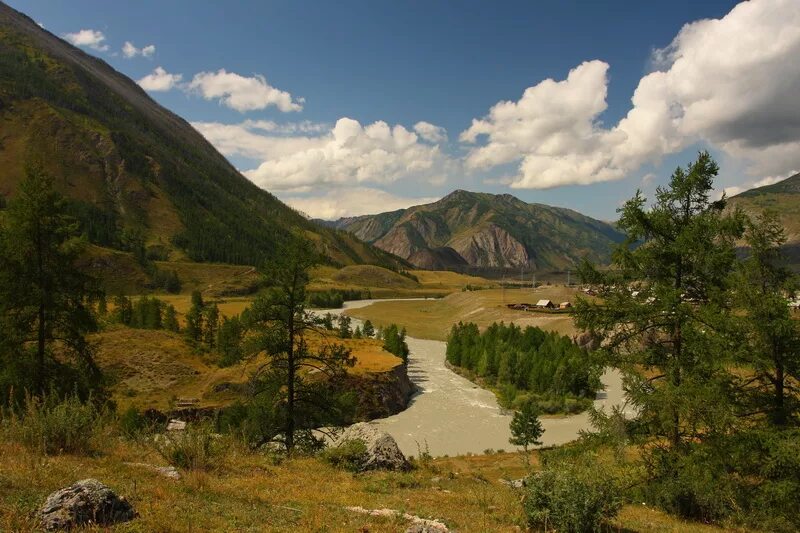 Республика алтай чибит. Село Чибит Алтай. Чибит горный Алтай. Поселок Чибит горный Алтай. Река Чибит на Алтае.