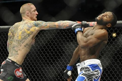 Ufc обзор