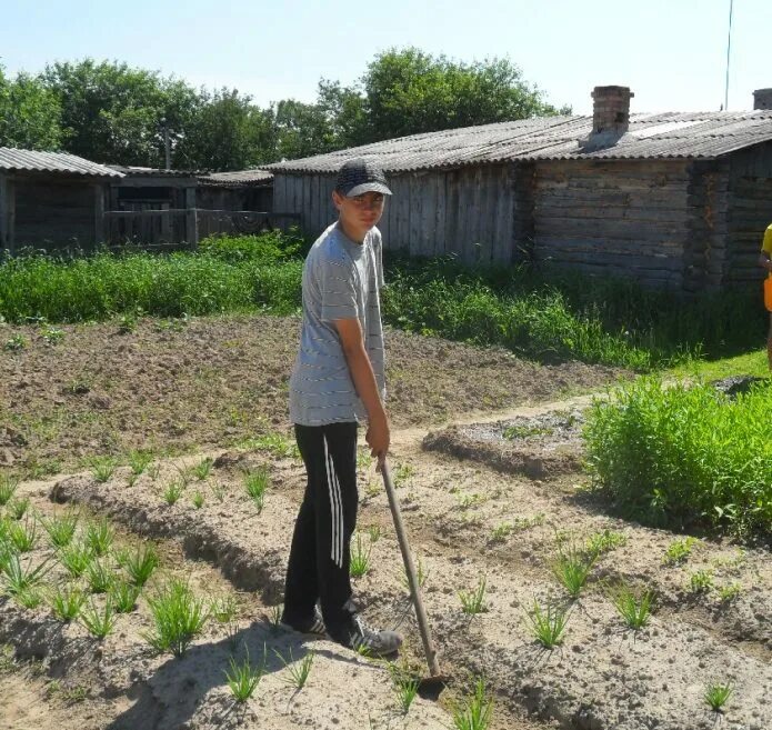 Бизнес на селе. Подсобное хозяйство на приусадебном участке. Приработок в деревне. Как можно заработать в деревне летом. Бизнес на селе.