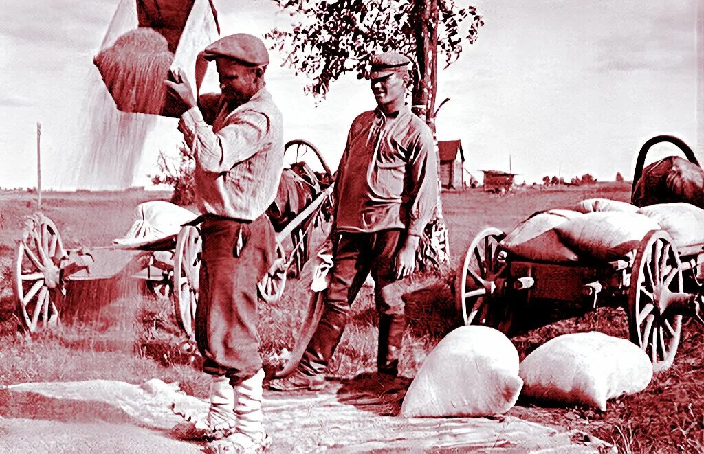 Сельское хозяйство ссср 1990. Колхоз сдал. Колхоз сдал. Колхоз сдал. Аграрный колхоз «красный урал», в 1966 г.