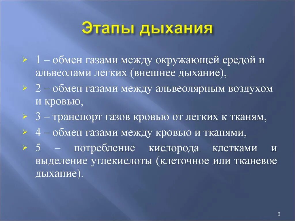 Этапы дыхания. Основные этапы процесса дыхания. Этапы газообмена. Этапы (стадии) дыхания. Характеристики вдоха