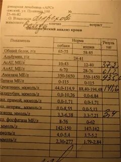 Какие анализы нужно сдать при подозрении