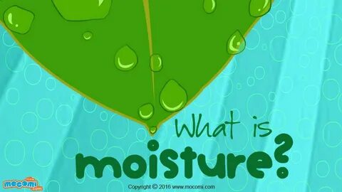 Moisture на русском