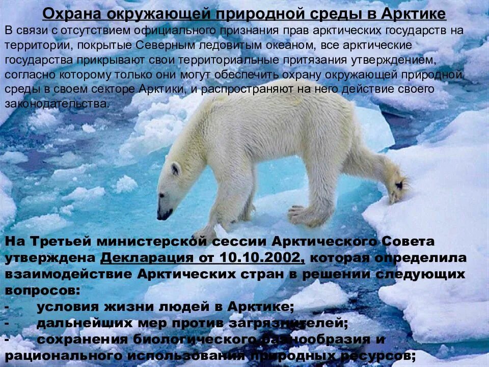 Проблемы в зоне арктических пустынь 4 класс. Защита природы арктики. охрана окружающей среды арктики. охрана природной среды арктики. охрана природы арктики 4 класс.