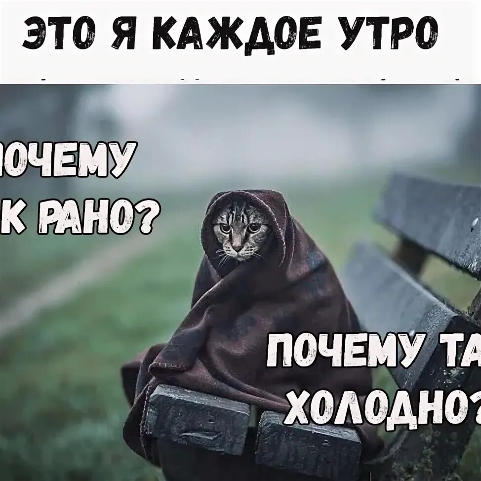 Почему два вопроса. Почему холодно. почему так холодно почему так рано. утром у меня только два вопроса. утром у меня только два вопроса почему так холодно и почему так рано.
