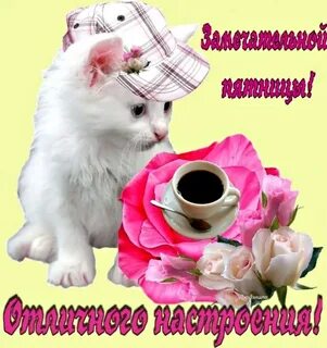 Открытки с добрым днем пятницы весенние