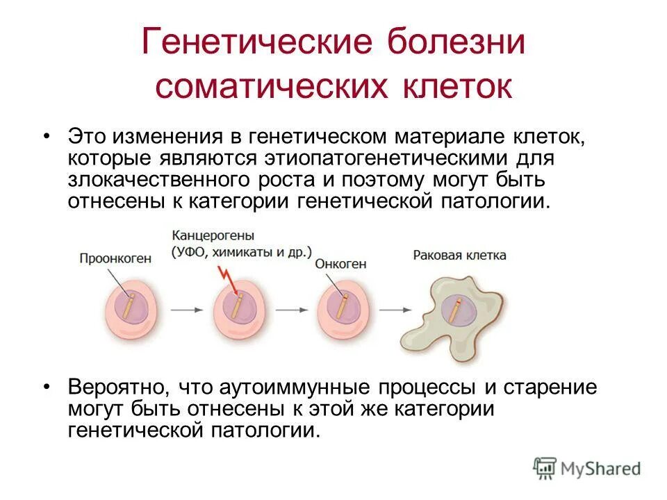 Генетические болезни соматических клеток. Генетические болезни соматических клеток причины. Наследственные генетические заболевания. К наследственным болезням соматических клеток относятся. Все клетки больного мужчины имеют 47