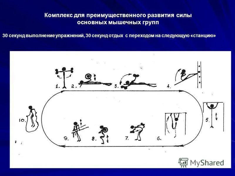 Кольцевой комплекс. Комплекс упражнений по методу круговой тренировки. Комплекс упражнений круговой тренировки для развития силы. Круговая тренировка на развитие силы. Упражнения на развитие силы методом круговой тренировки.