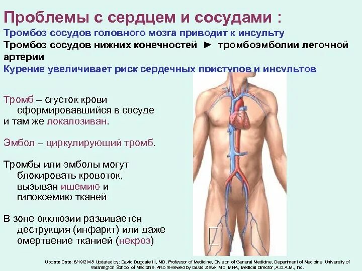 Симптомы проблем с сердцем. Как понять что проблемы с сердцем. Симптомы проблем с сер. Проблемы с сосудами симптомы. Симптомы проблем с сосудами головного