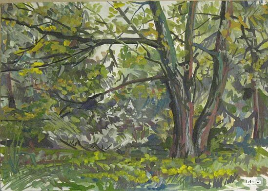 ускова этюды