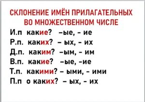 Укажите форму числа над именами прилагательными. Укажите форму числа над именами прилагательными