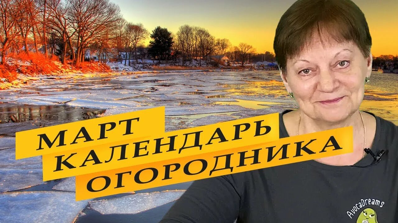 Мир космоса лунный календарь июнь 2024г благоприятные