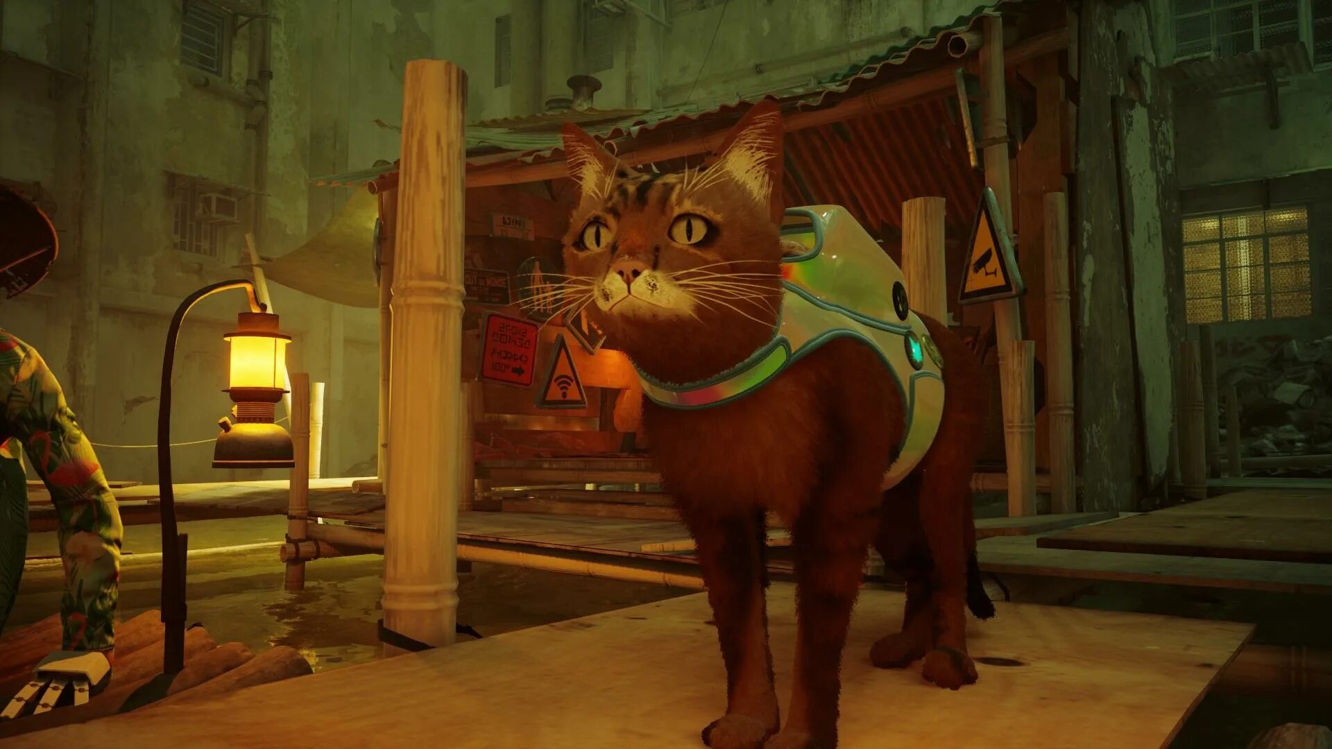 Кот дремот и его друзья. Stray кот. новая игра про кота. stray игра. кот из stray.