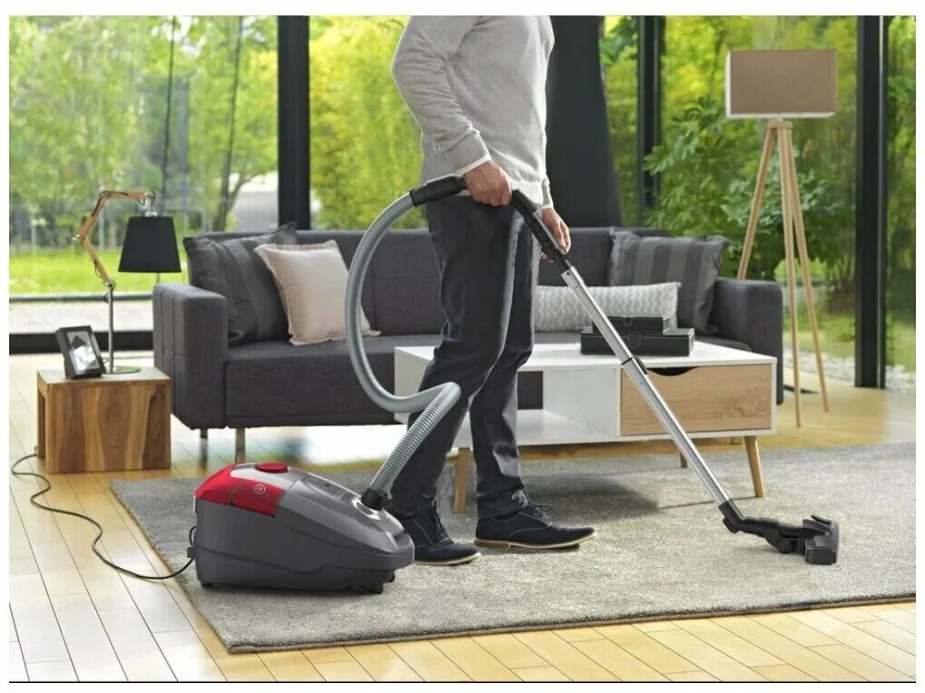 Пылесос с пылесборником electrolux pd91-8ssm. Gorenje vc 2101 bkcy пылесос. Пылесос philips fc8474. Пылесос philips fc8296/01. Пылесос philips fc9071 jewel.