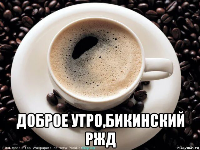 Утром плюс 2. Кофе Мем. Доброе утро Мем. Доброе утро без обиды. До́брое у́тро.