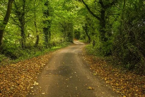 Photo path