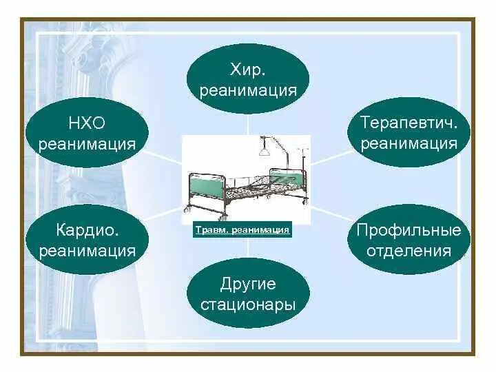Отделения терапевтического профиля. Профиль отделения. Профильные отделения. Организация работы профильного отделения стационара. Профильные отделения.