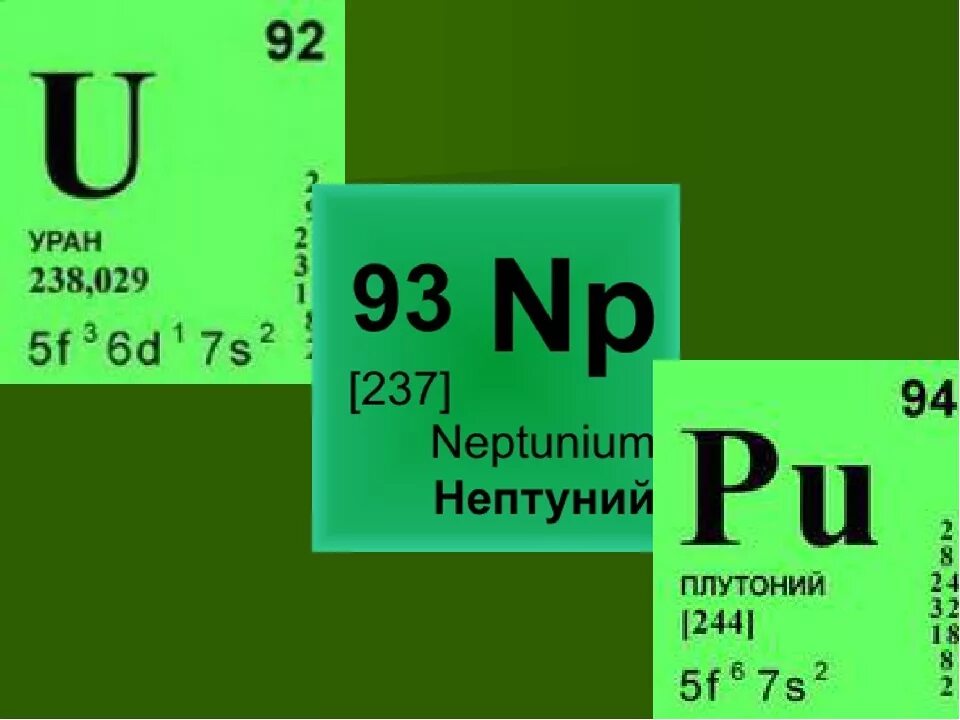 Уран ядерный элемент. Плутоний 239 таблица Менделеева. Уран 238 нептуний 239 плутоний 239. Уран элемент таблицы Менделеева. Уран в таблице Менделеева.