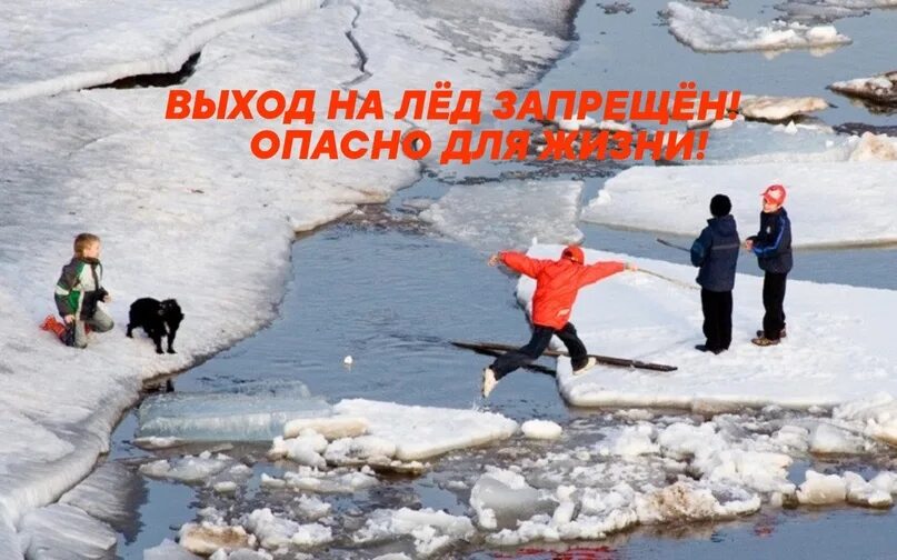 Их жизнь в опасности. Их жизнь в опасности