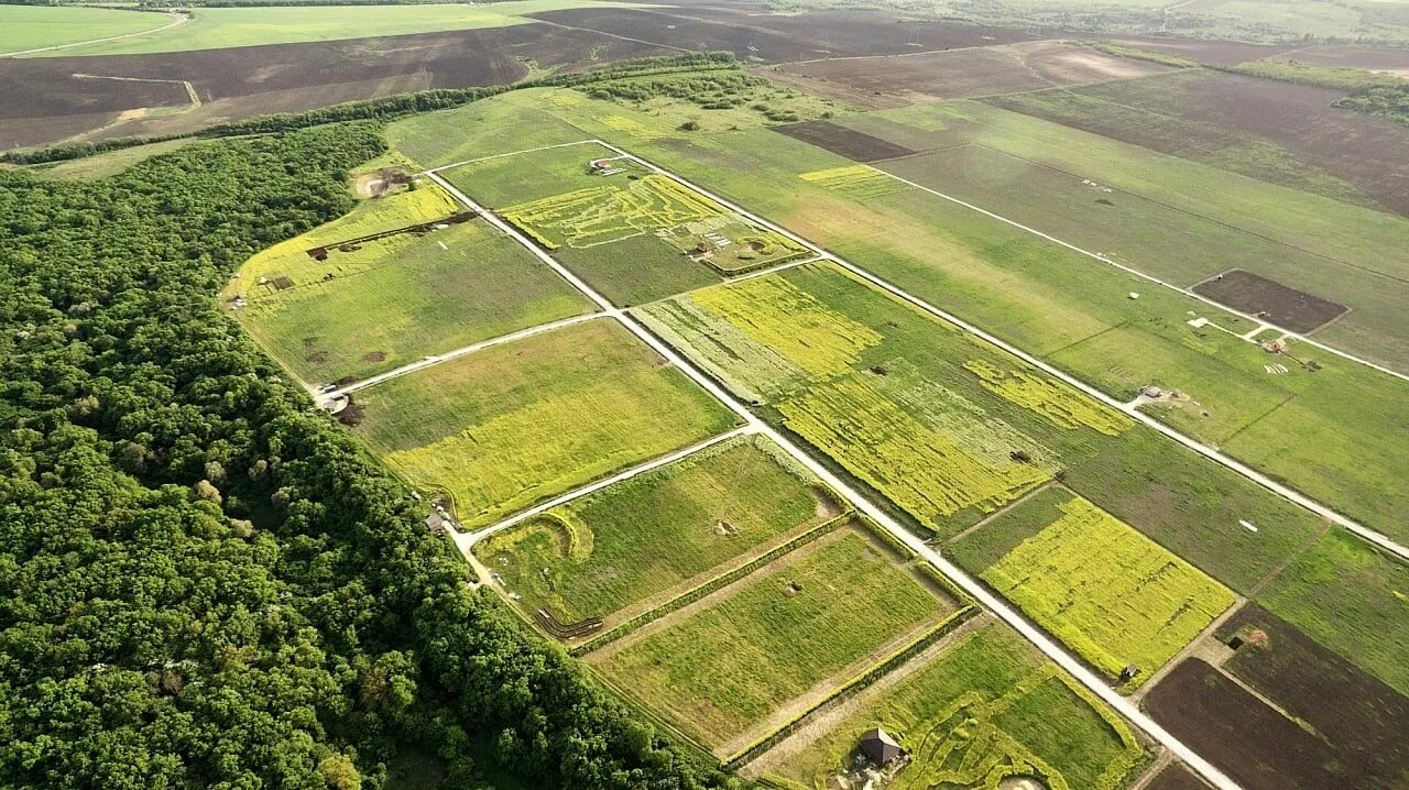 1. Размер земельного участка площадью 1га. На поле площадью 3 гектара. Гектар земли. На поле площадью 3 гектара.