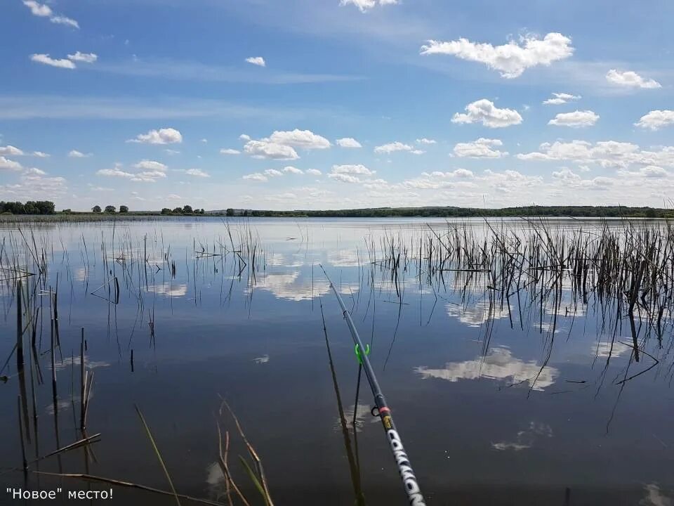 Озеро шанхай казань. Озера для рыбалки казань. Тетеево платная рыбалка. Озера для рыбалки казань. Озера для рыбалки казань.