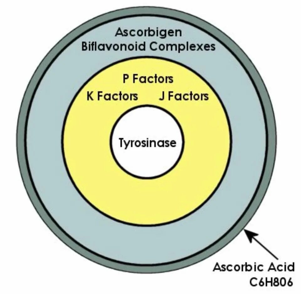 Factors &Vitamin c. C-Complex. Whole c