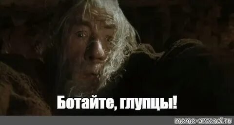 Глупцы не разумом не честностью блистали