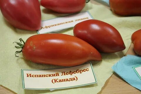 Помидор по испански