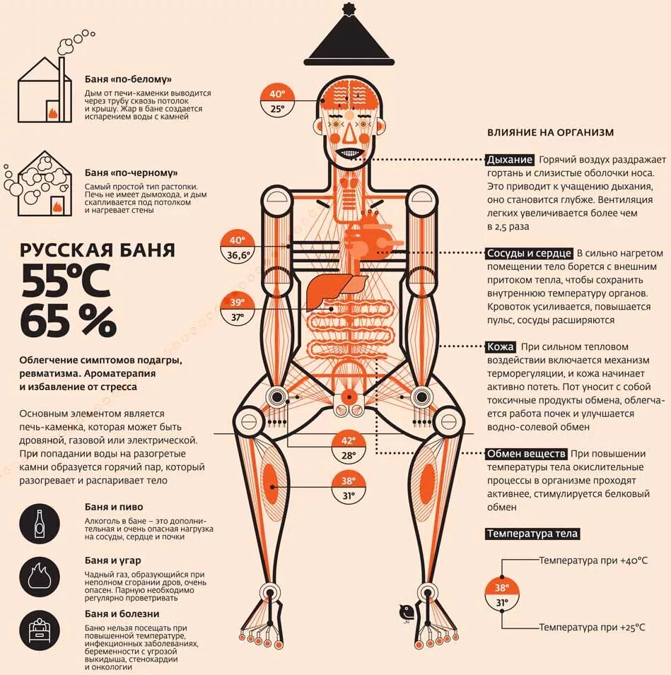Влияние бани на организм. Температура в бане. Воздействие бани на организм человека. Температура органов человека.