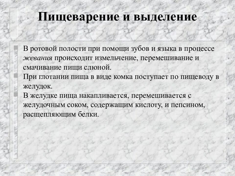 Смачивание пищи слюной. Помощник желудка по измельчению и перемешиванию пищи. Изменения в полости рта при патологии желудочно-кишечного тракта. Помощник желудка по измельчанию.