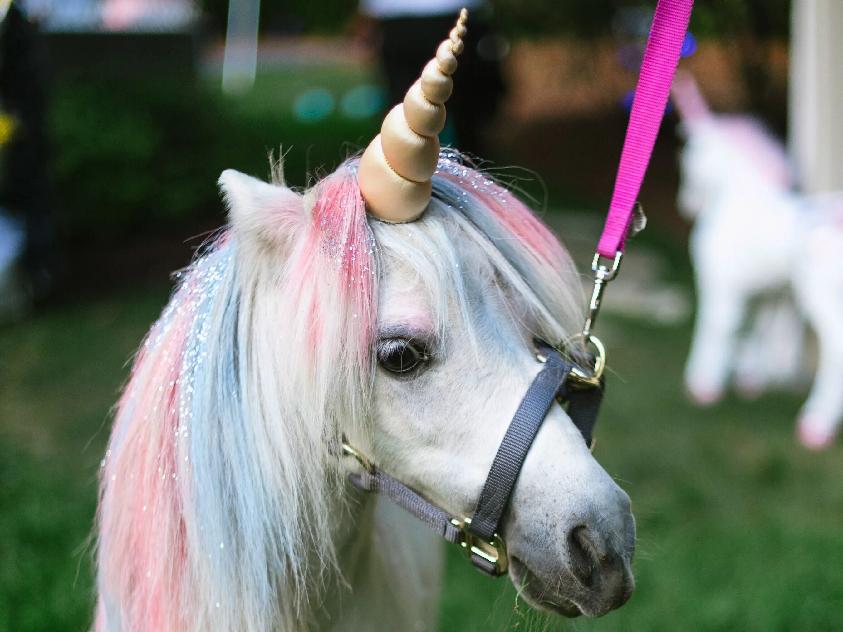 Мультяшные единорожки. Единорог цветной. Самых маленьких единорожек. Единорог мультяшный милый. Другая единорожка.