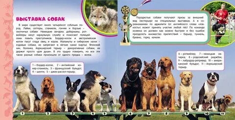 Прочитать про собаку