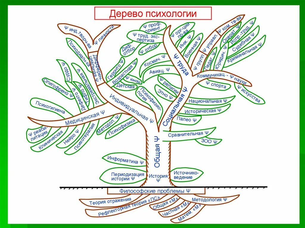 Психология деревьев