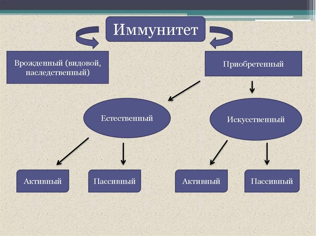 Активный естественно приобретенный иммунитет. Наследственный врожденный иммунитет. Иммунитет активный пассивный врожденный и приобретенный. Естественный иммунитет видовой наследственный приобретенный. Иммунитет приобретенный искусственный активный пассивный.