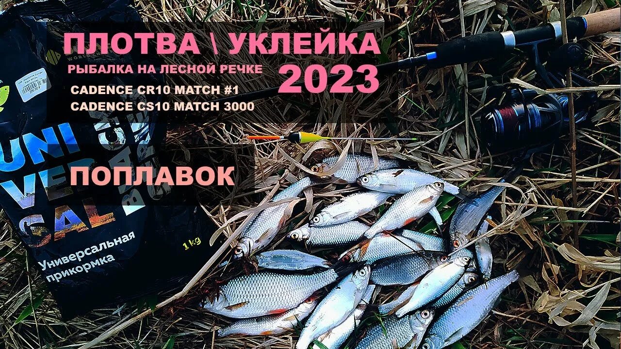 Нерестовый запрет 2023 год. Ловля карася на поплавочную удочку. Сеть для ловли рыбы. Снасти для весенней рыбалки ловля на фидер. Запрет рыболовства.
